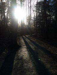 IMG_0485
